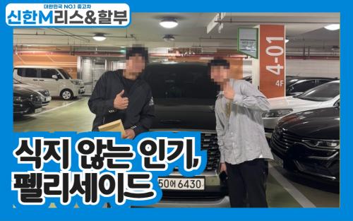 식지 않는 인기, 펠리세이드 이미지